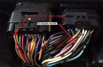 Connettori ECU Tracer.png