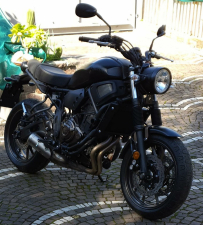 XSR 700(1).jpg