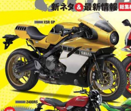 yamaha-2023-xsr-gp.thumb.jpg.bde4fb8dacb5bf5ea1266e087cda67e7.jpg