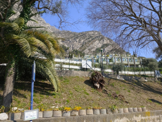 2025-03-20 10-45-46_2.jpg