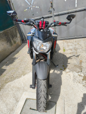 Fronte