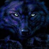 BlackWolf